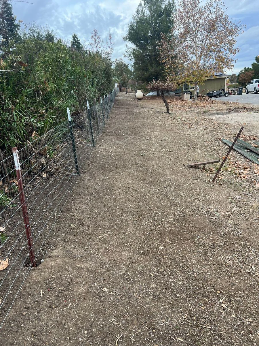 Cleared ground alongside a fence and trees