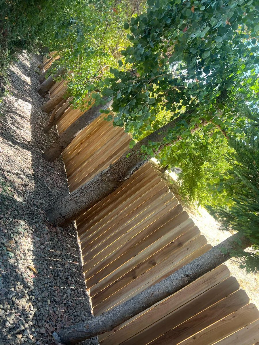 Wooden fence beside leafy vegetation